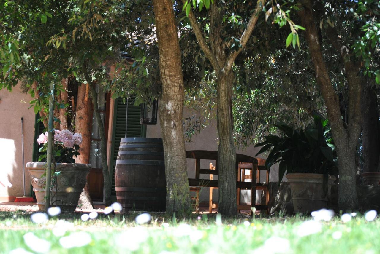 Agriturismo La Nicchia Castelnuovo Berardenga Exterior foto