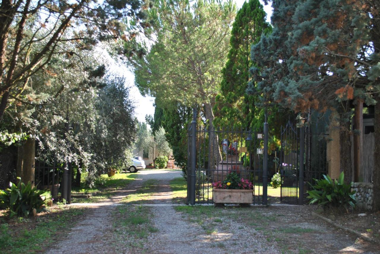 Agriturismo La Nicchia Castelnuovo Berardenga Exterior foto