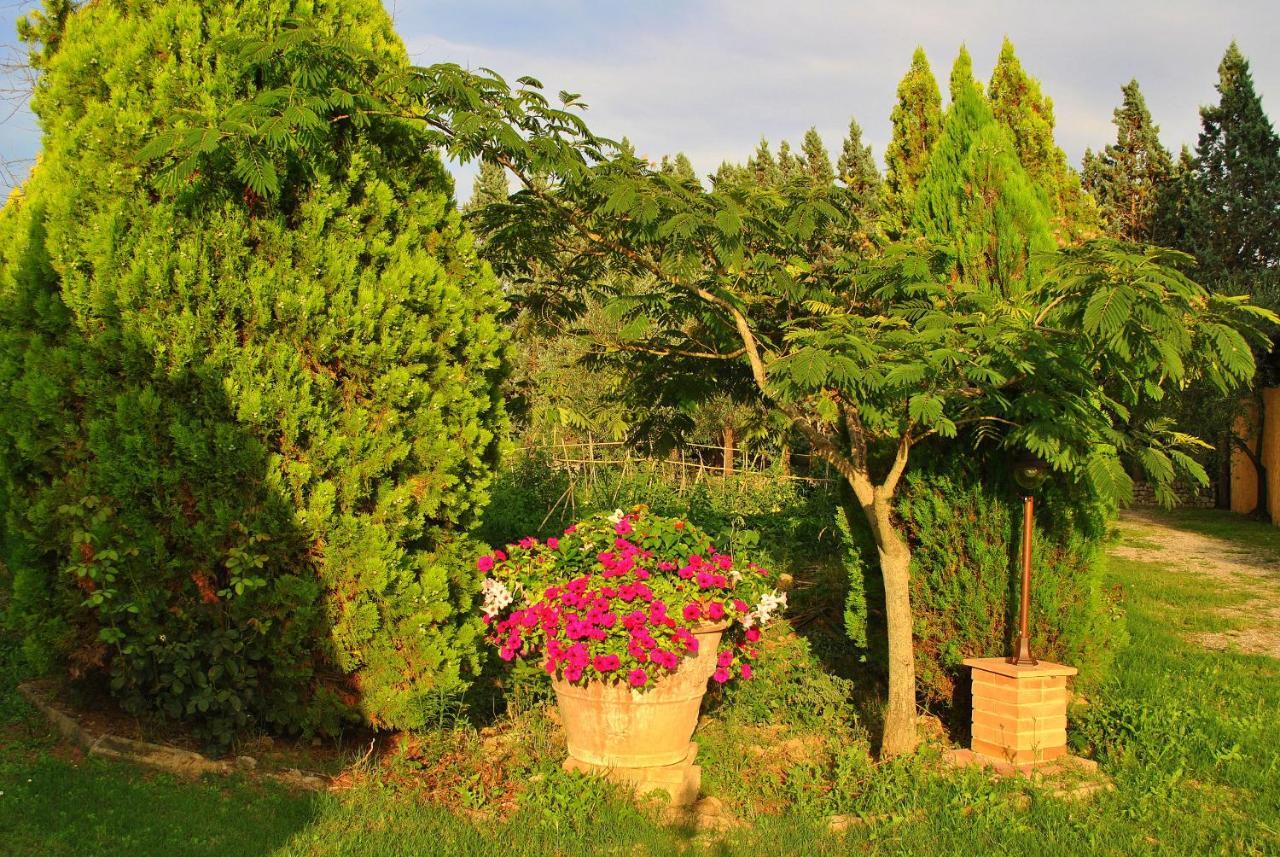 Agriturismo La Nicchia Castelnuovo Berardenga Exterior foto